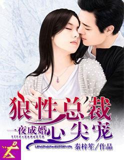 一夜成婚：狼性总裁心尖宠封面