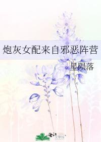 炮灰女配来自邪恶阵营封面