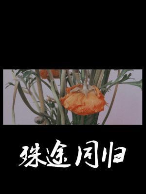 殊途同归封面