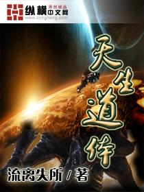 天生道体封面