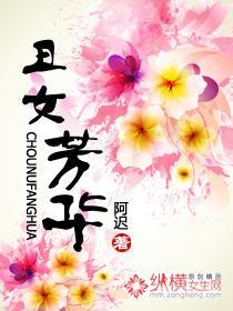 丑女芳华封面