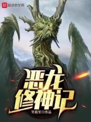 恶龙修神记封面