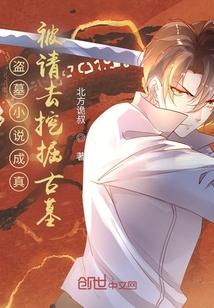 盗墓小说成真，被请去挖掘古墓封面