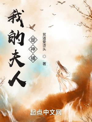 我的夫人是神捕封面