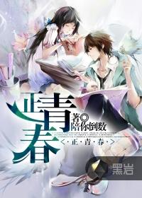正青春黑岩封面