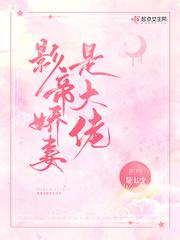 影帝娇妻是大佬封面