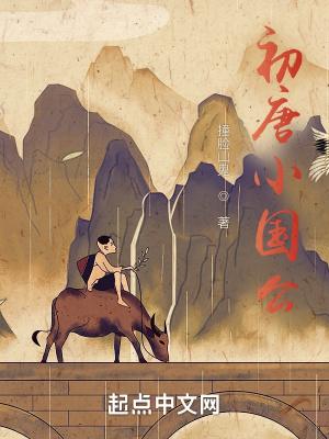 初唐小国公封面