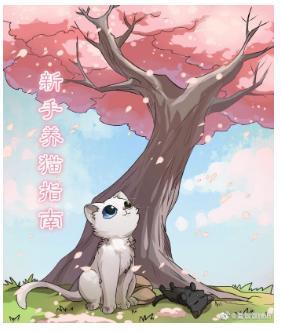 新手养猫指南封面
