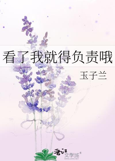 看了我就得负责哦封面