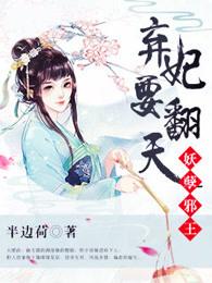 妖孽邪王：弃妃要翻天封面
