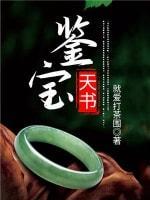 鉴宝天书封面