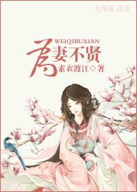 为妻不贤封面