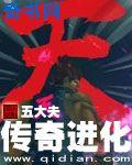 传奇进化封面