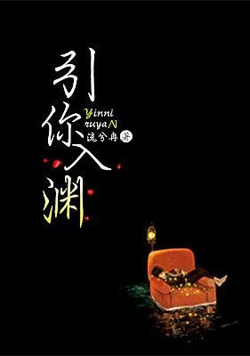 引你入渊封面