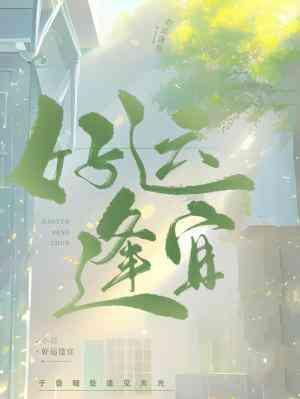 好运逢宜封面