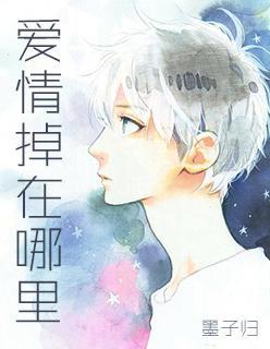 爱情掉在哪裏封面