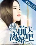 前夫离婚吧封面