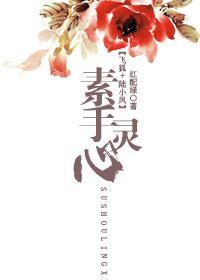 素手灵心封面