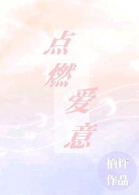 点燃爱意封面