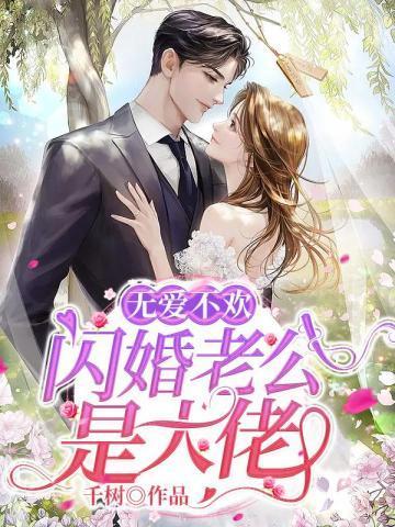 无爱不欢：闪婚老公是大佬封面
