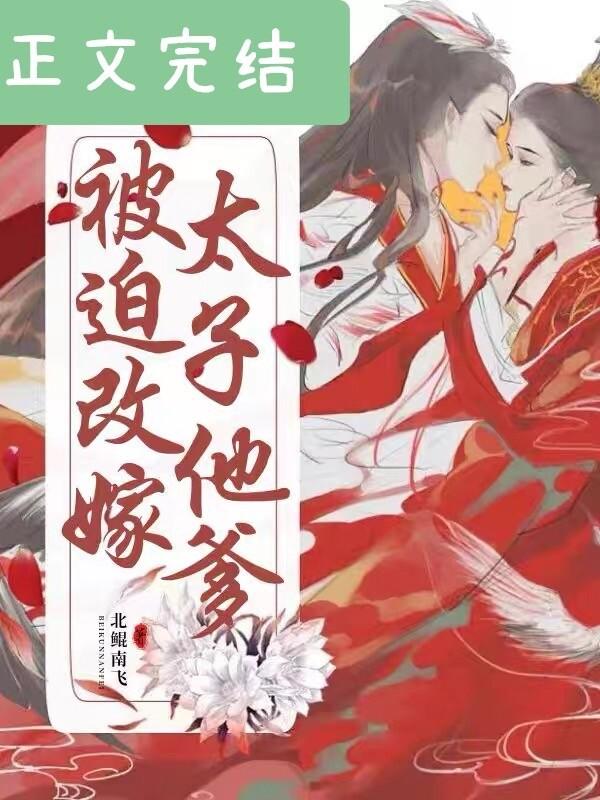被迫改嫁太子他爹[清穿]封面