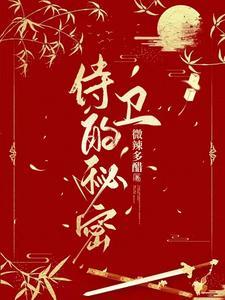这个侍卫有秘密封面