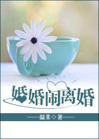 婚婚闹离婚封面