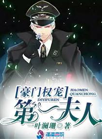豪门权宠第一夫人封面