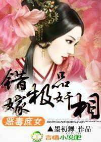 恶毒庶女，错嫁极品奸相封面
