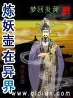 炼妖壶在异界封面