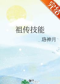 祖传技能封面