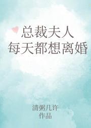 总裁夫人每天都想离婚封面