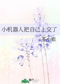 小机器人把自己上交了封面