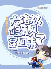 大佬从修真界穿回来了封面