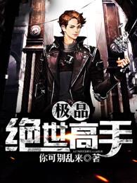 极品绝世高手封面