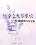快穿之九号系统封面