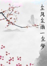 尘风尘雨一尘梦封面