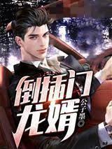 倒插门龙婿封面