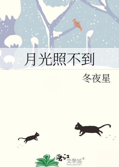 月光照不到封面
