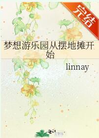 梦想游乐园从摆地摊开始封面