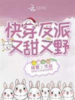 快穿反派又甜又野封面