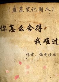 你怎么舍得我难过封面