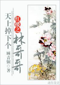 红楼之天上掉下个林哥哥封面