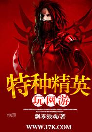 特种精英玩网游封面