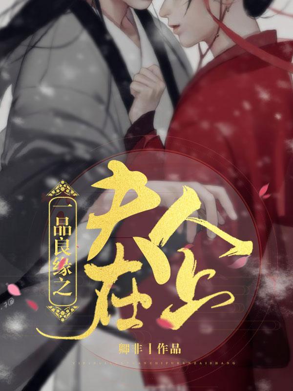 一品良缘之夫人在上封面