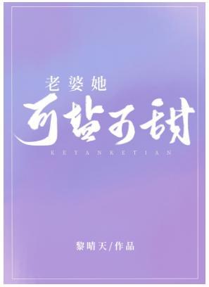 老婆她可盐可甜封面
