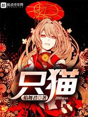 今天也要努力当只猫封面
