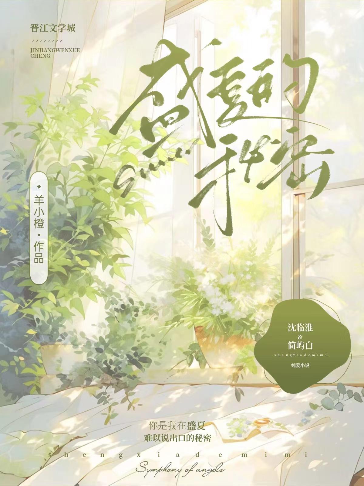 盛夏的秘密封面