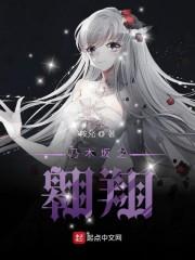 乃木坂之翱翔封面