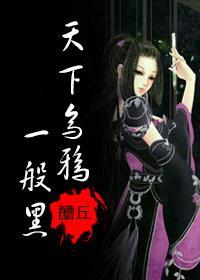 天下乌鸦一般黑封面